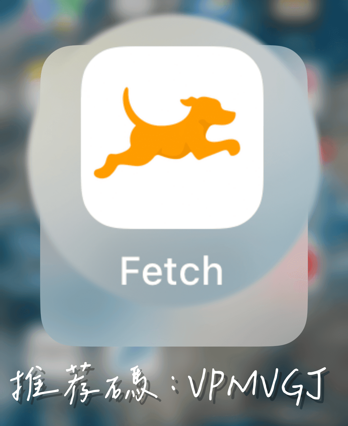 美國省錢必下載的5個app
